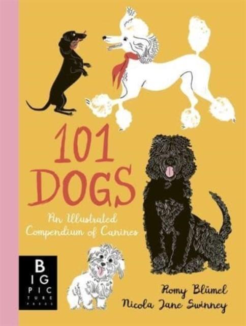 101 DOGS | 9781800781153 | NICOLA JANE SWINNEY