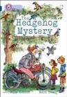 THE HEDGEHOG MYSTERY -FICTION-SAPPHIRE - BAND 16 | 9780007336388 | ALLY KENNEN