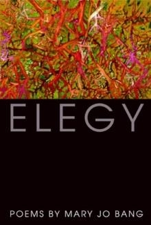 ELEGY | 9781555975401 | MARY JO BANG