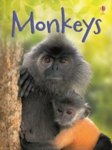 MONKEYS | 9781409523079