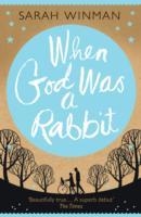 WHEN GOD WAS A RABBIT | 9780755379309 | SARAH WINMAN