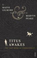 TITUS AWAKES | 9780099552765 | MERVYN PEAKE