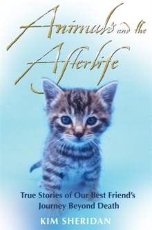 ANIMALS AND THE AFTERLIFE | 9781848502420 | KIM SHERIDAN