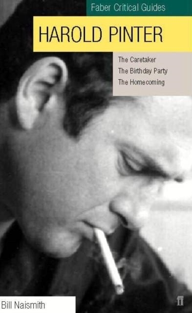 HAROLD PINTER PLAYS CRITICAL GUIDE | 9780571197811 | FABER GUIDES