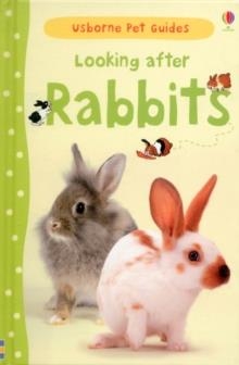 LOOKING AFTER RABBITS | 9781409532439 | FIONA PATCHETT