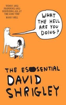 WHAT THE HELL ARE YOU DOING? | 9781847678638 | DAVID SHRIGLEY