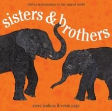 SISTERS AND BROTHERS | 9780547727387 | ROBIN PAGE