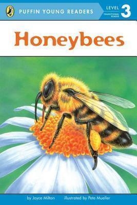 HONEYBEES (LEVEL 3) | 9780448494937 | JOYCE MILTON