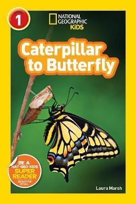 CATERPILLAR TO BUTTERFLY | 9781426309205 | LAURA MARSH