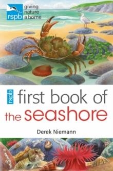 FIRST BOOK OF THE SEASHORE | 9781408165690 | DEREK NIEMANN