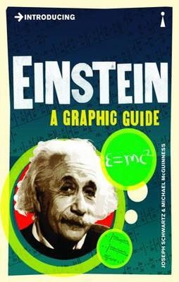 INTRODUCING EINSTEIN GRAPHIC GUIDE | 9781848314085 | JOSEPH SCHWARTZ