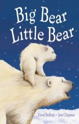 BIG BEAR LITTLE BEAR | 9781848952478 | DAVID BEDFORD