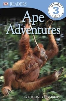 DK READERS: APE ADVENTURES | 9781465402394 | CATHERINE E CHAMBERS
