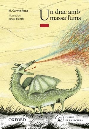 UN DRAC AMB MASSA CAT 12-ARB LEC INF+8 | 9788467373448 | ROCA I COSTA, MARIA CARME