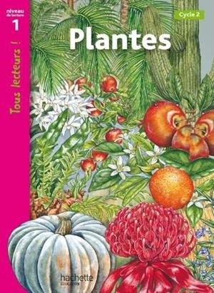PLANTES | 9782011175342
