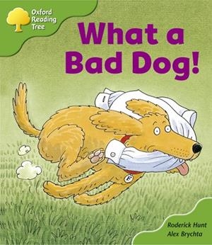 OXFORD READING TREE STAGE 2 BIG BOOKS PACK | 9780198454755 | VARIOS AUTORES