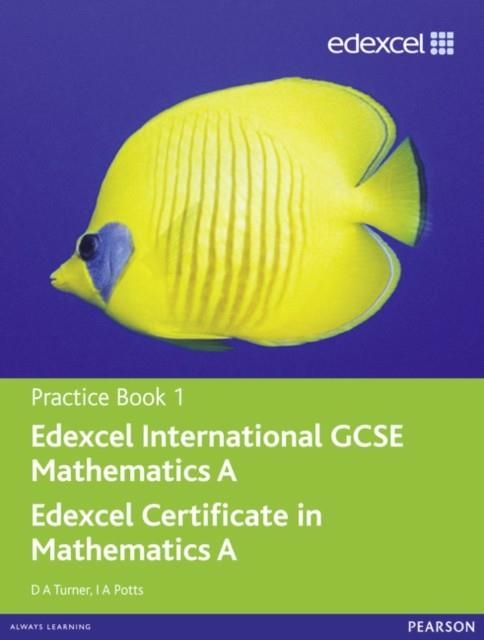 EDEXCEL INTGCSE MATHS A PB 1 | 9780435044169