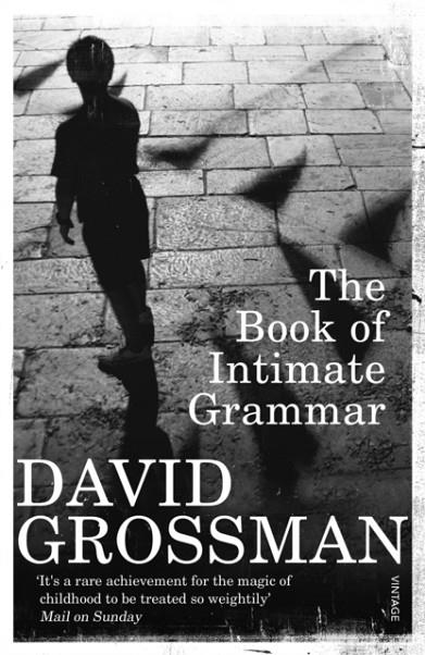 BOOK OF INTIMATE GRAMMAR, THE | 9780099552321 | DAVID GROSSMAN