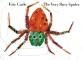 THE VERY BUSY SPIDER HB | 9780399211669 | ERIC CARLE