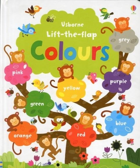 LIFT-THE FLAP COLOURS BOOK | 9781409540571 | FELICITY BROOKS