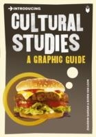 INTRODUCING CULTURAL STUDIES | 9781848311817 | ICON