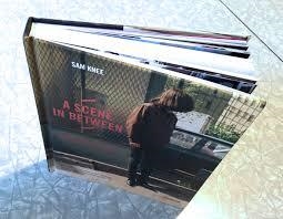 SCENE IN BETWEEN, A | 9781908714060 | SAM KNEE
