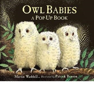 OWL BABIES (A POP UP BOOK) | 9781406352344 | MARTIN WADDELL