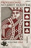 PROFESSIONAL NO-LIMIT HOLD'EM | 9781880685402 | MATT FLYNN