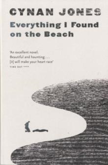 EVERYTHING I FOUND ON THE BEACH | 9781783780426 | CYNAN JONES