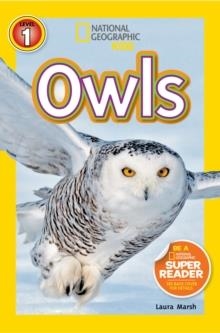 OWLS | 9781426317439 | LAURA MARSH