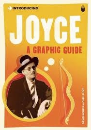 INTRODUCING JOYCE | 9781848313514 | ICON