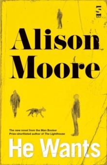 HE WANTS | 9781907773815 | ALISON MOORE