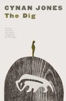 DIG, THE | 9781847088802 | CYNAN JONES