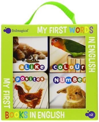 MY FIRST WORDS IN ENGLISH | 9788497808798