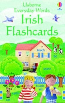 EVERYDAY WORDS IN IRISH FLASHCARDS | 9780746067932 | ANGELA WILKES
