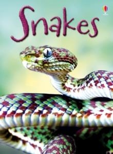 SNAKES | 9781409565253
