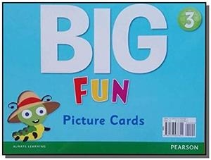 BIG FUN 3 PICTURE CARDS | 9780133437621 | VV. AA.