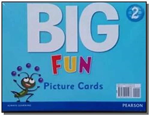 BIG FUN 2 PICTURE CARDS | 9780133445176 | VV. AA.