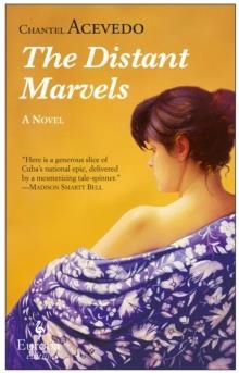 THE DISTANT MARVELS | 9781609452520 | CHANTEL ACEVEDO