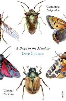 BUZZ IN THE MEADOW, A | 9780099597698 | DAVE GOULSON