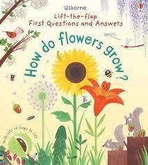 HOW DO FLOWERS GROW? | 9781409582137 | KATIE DAYNES