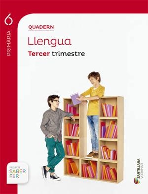 QUADERNO LLENGUA 6PRIMARIA TERCER TRIMESTRE VALEN | 9788498076882 | VARIOS AUTORES