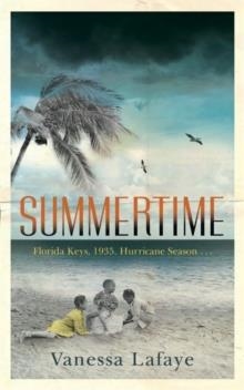 SUMMERTIME | 9781409157267 | VANESSA LAFAYE