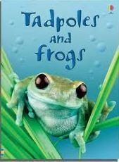 TADPOLES AND FROGS | 9780746074558 | ENCYCLOPEDIAS AND GENERAL KNOWLEDGE