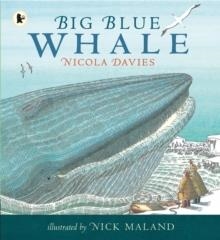 BIG BLUE WHALE | 9780744578966 | NICOLA DAVIES