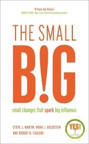 THE SMALL BIG | 9781781252758 | STEVE J. MARTIN