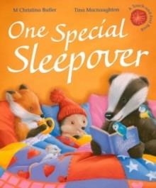 ONE SPECIAL SLEEPOVER | 9781848958920 | M CHRISTINA BUTLER