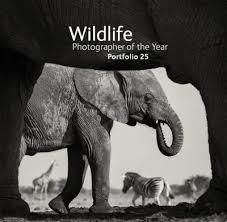 WILDLIFE PHOTOGRAPHER OF THE YEAR | 9780565093778 | ROSAMUND KIDMAN COX