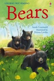 BEARS | 9781409506577