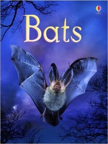 BATS | 9780746099650 | MEGAN CULLIS